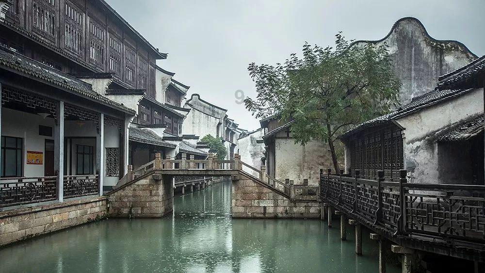 翻转吧，苹果虫